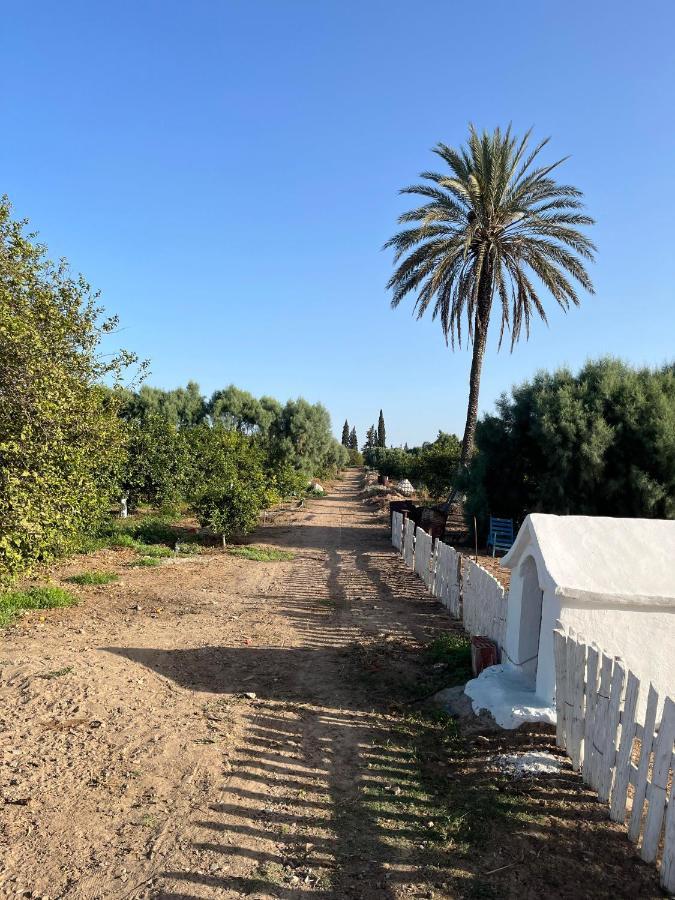 Villa Dar Louzir A Tazarka Exterior foto