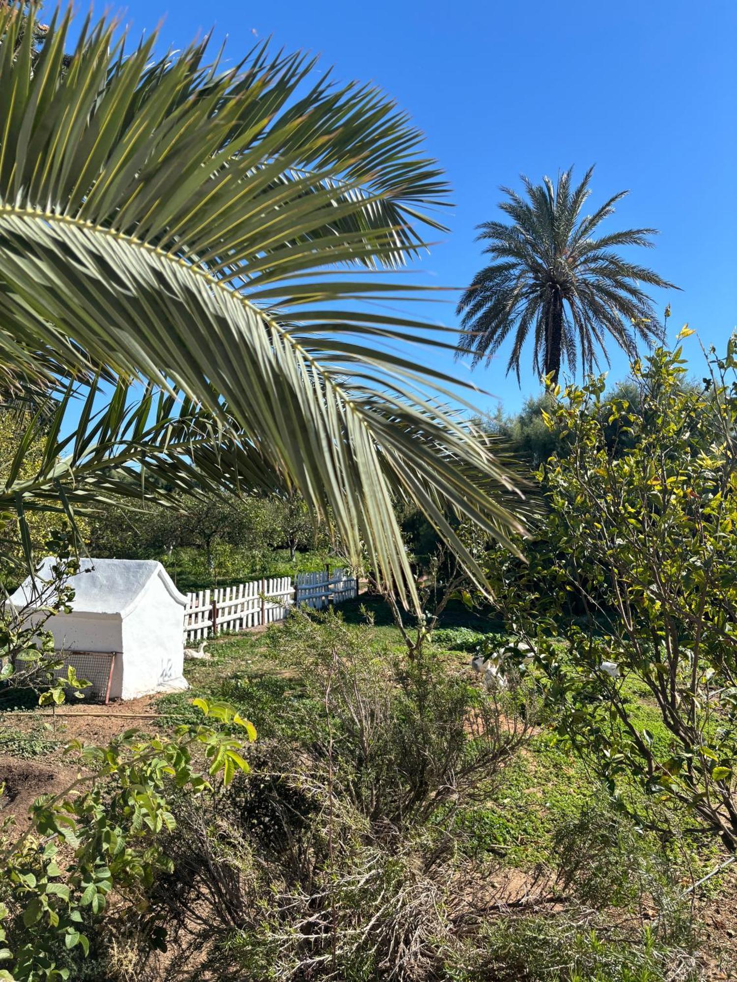 Villa Dar Louzir A Tazarka Exterior foto